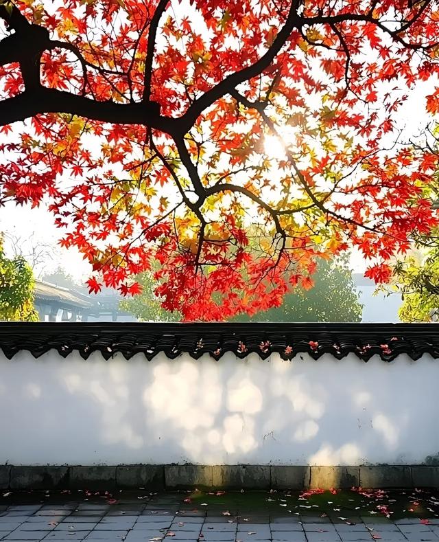 虽然微风渐凉，可这五彩缤纷的颜色，怎能叫人不爱呢？