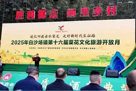【散文】春行白沙场，邂逅那一片隐秘的角落‖余笙图片