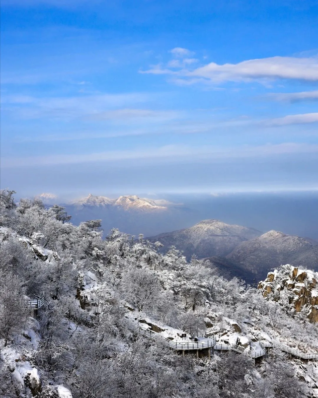 临沂，你真的好风光！！