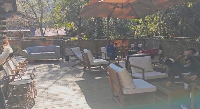 郁郁银杏无非般若，青青溪石尽是法身：宜春南惹古村印象（聂朋