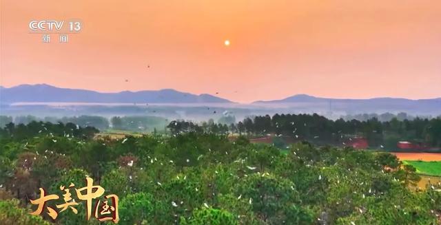 央视聚焦30余次！河南文旅多彩活动畅爽一夏