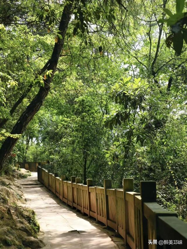 深秋想赴一场“森”系约会？来邛崃就够了！
