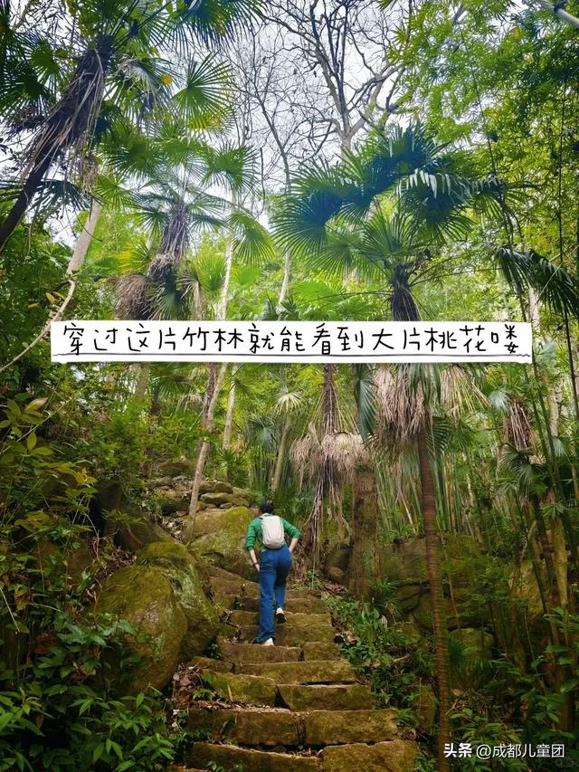 春天去哪徒步?成都周边8条路线:摘野菜、赏野花、捡野果