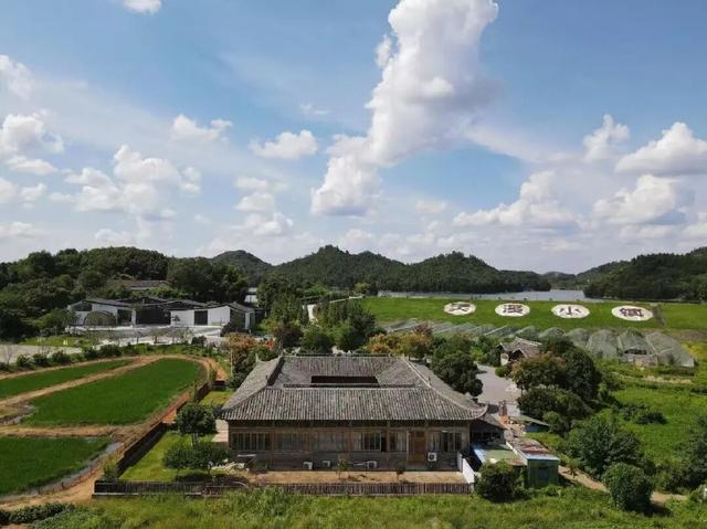 鹰潭文旅元旦活动合集来啦！解锁跨年精彩→【龙虎天下绝·暖冬迎新春】