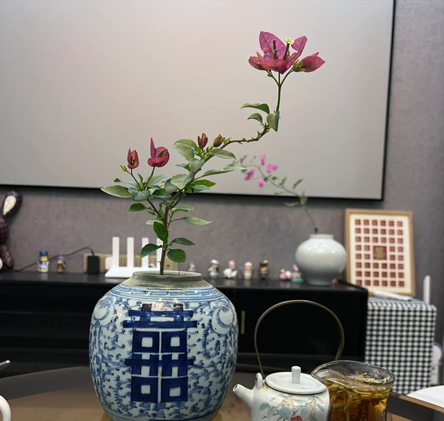 广州一小女孩，用易拉罐养三角梅，网友：太精致了，真有创意