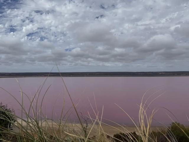 澳大利亚22日世界文化遗产与自然之旅游记