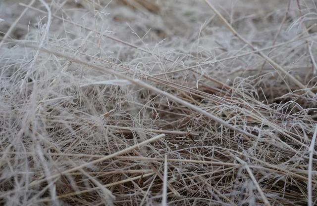 怀集诗洞镇，冬霜成景！