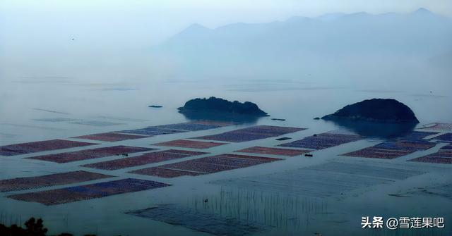 水墨国画，诗意霞浦