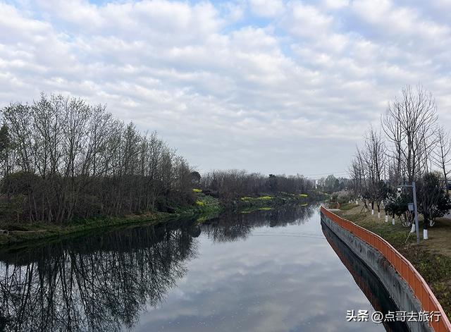 成都城区最大的油菜花田，2000亩铺天盖地般壮美，视觉非常震撼！