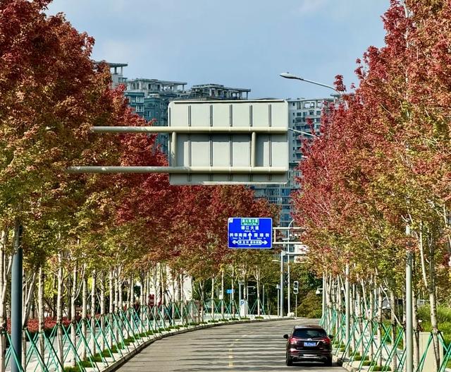 今日大雪 | 打卡这里,定格冬日专属美照