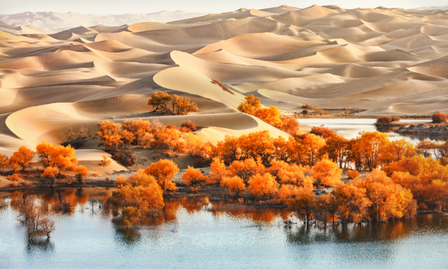 2026马年“天选游客”：你好，内蒙古VIP通道已开启！