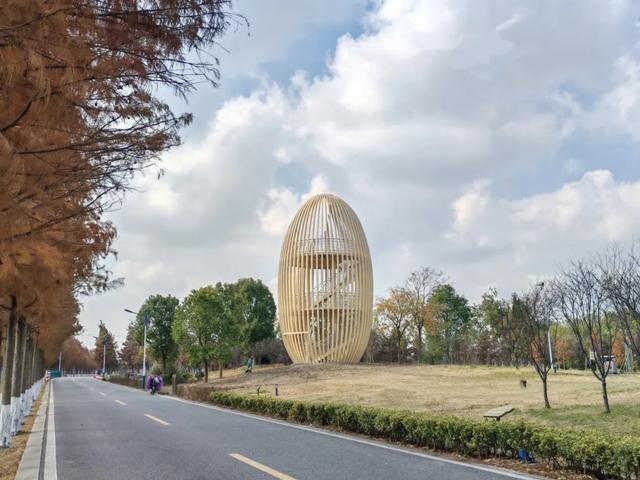 沪上这9条秋游线路，带你走进申城最美的秋景~