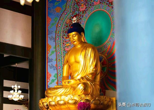 四川最美田园寺庙，寺中金黄油菜花超级惊艳，一座壮观盛唐庙宇！