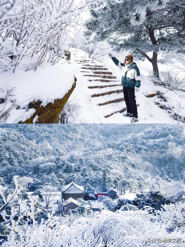 正式开启!淄博人有自己的“雪乡”了,已经美成童话!