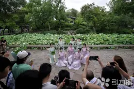 位列全国亲子游目的地榜单前十，苏州文旅这一“夏”收获满满图片