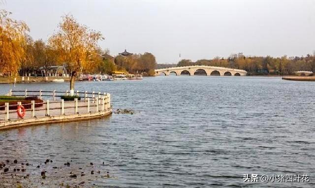 在山东桓台待半年后实话实说：真实情况让人意外