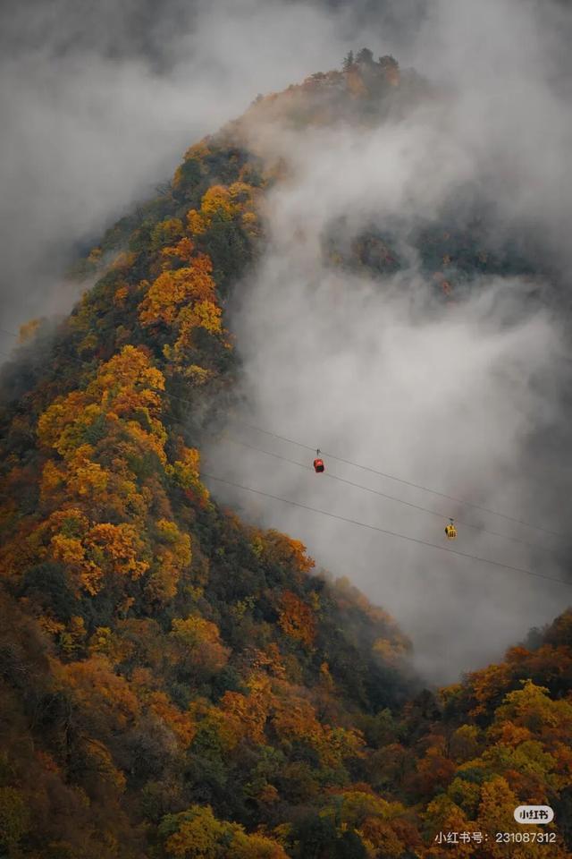 谁说秋日只有红？来龙头山，感受五彩鲜活的秋~