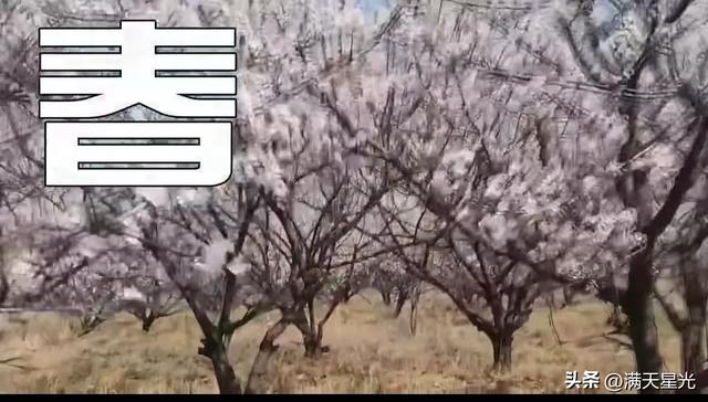 张建德｜写在吴城“村晚”的一段记忆