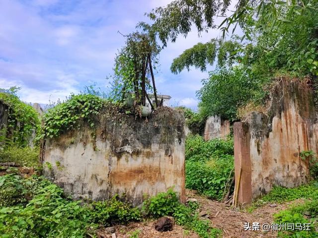【行走徽州227】芳塘：许是半亩方塘的传承，明经胡有人高中传胪