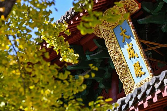 杭州孔庙碑林银杏季启幕，推出多项文化体验活动邀市民共赏“金色盛宴”