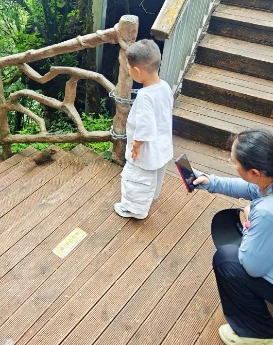 出发!户外亲子游天花板,非龙头山莫属→