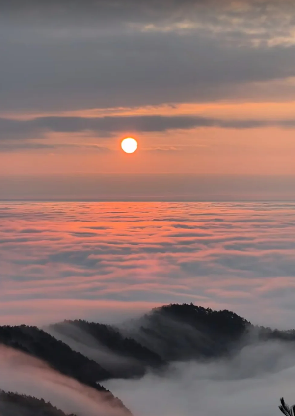 从“飞钓季”到“山水剧场”，观赛度假两不误