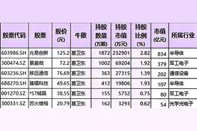 十大牛散最新持仓曝光！含芯片、新能源、消费电子、医药等概念图片