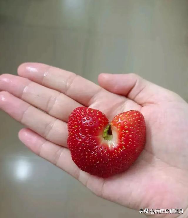 42张搞笑图片，内涵幽默动态趣图，你能忍住不笑吗