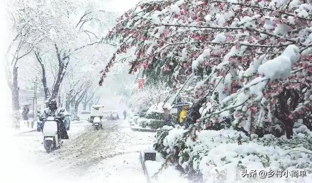 明日霜降不一般，老人说“大雪来不来，就看霜降”，今冬大雪？