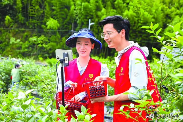 农货直播变“男人主场”！52%下单是男性，这套路太懂中年人