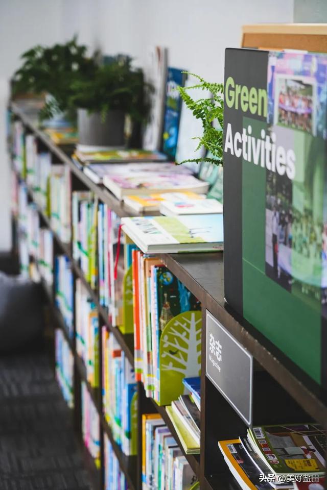 在盐田看海上运动，还能这样玩！