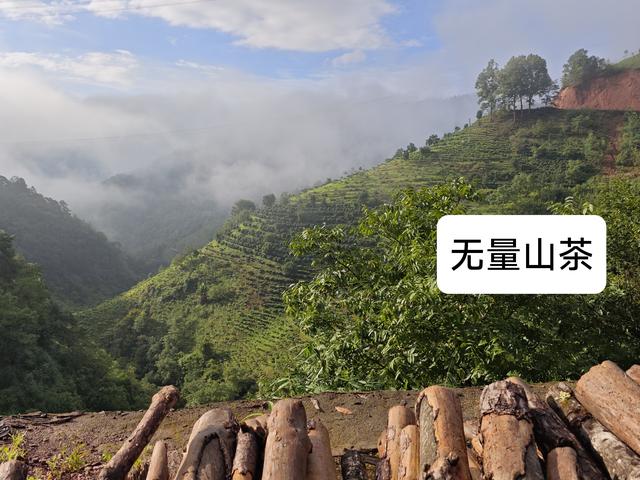 在云南无量山，真的有个金庸笔下的“无量玉壁”