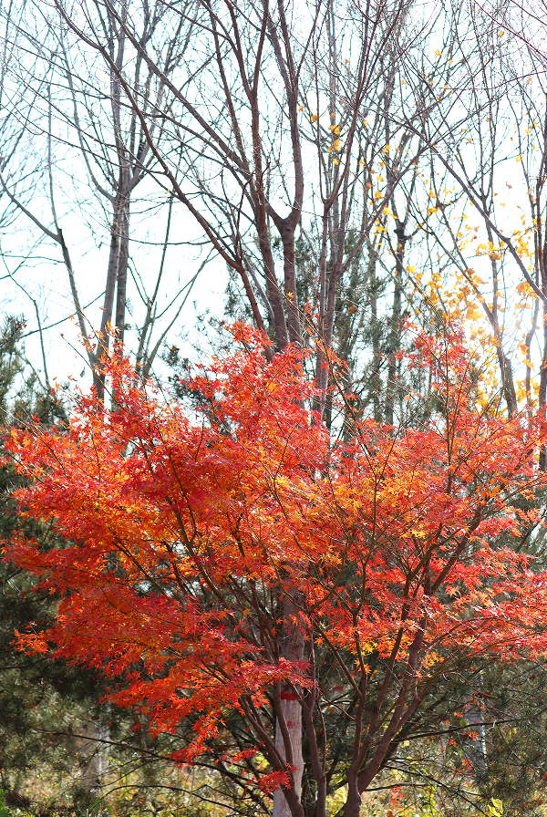 去公园，寻找城市的“书签”