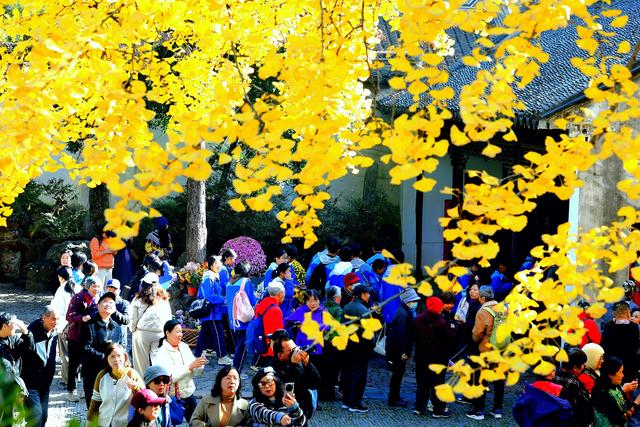 流金暖红裹着的古镇秋时