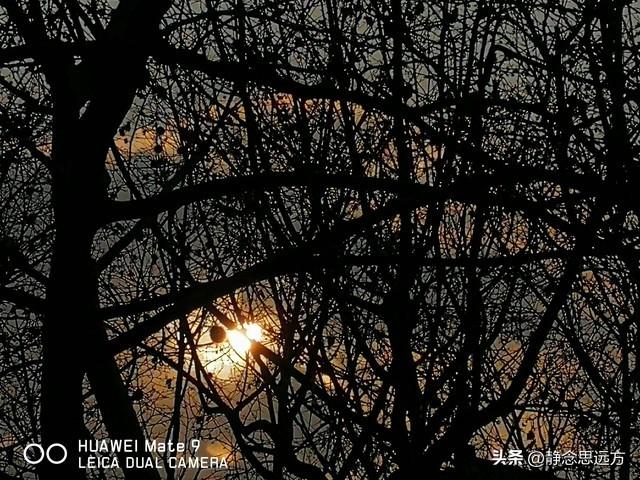 没想到临沂这么好玩！岱崮地貌超奇特，书圣故居还飘着千年墨香