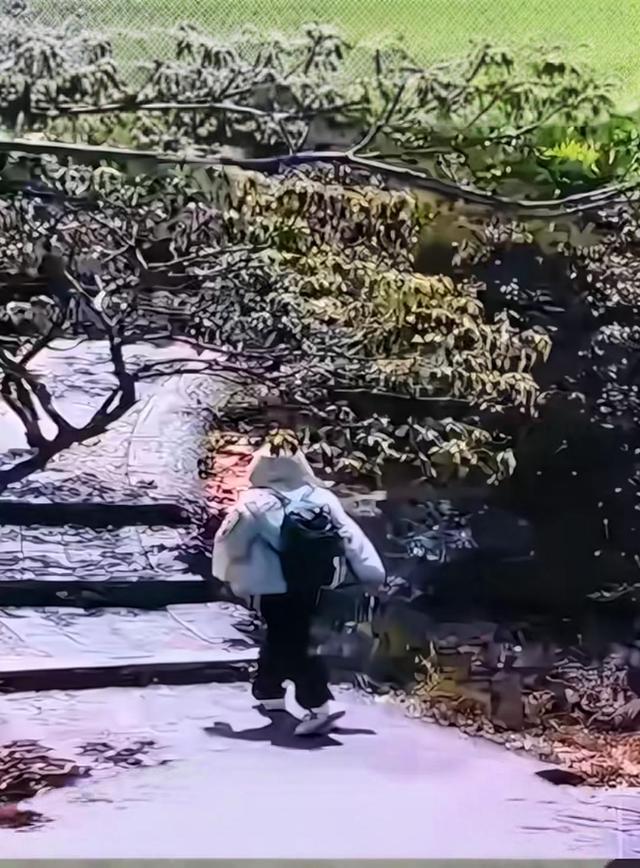 蔡磊遗骸已找到！在未开发区域，曝头身分离，只有手机丢失引争议