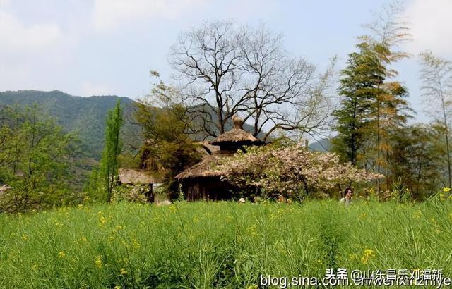 婺源篁岭旅游札记[三]（江西之旅第四十五篇）