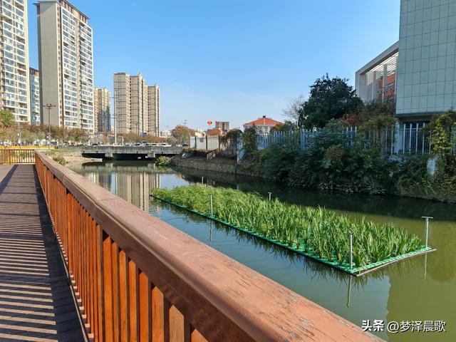 生物浮岛扮靓云梦水域 初冬亲水空间引客来