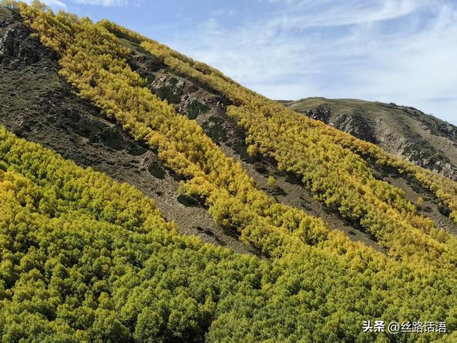 图集丨秋色斑斓 步入绿野仙踪的秘境——焉支山