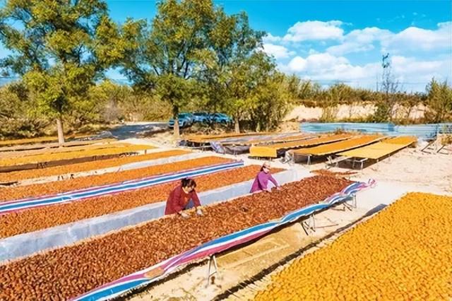 运城周末遛娃天花板！亲子采摘甜翻时光～
