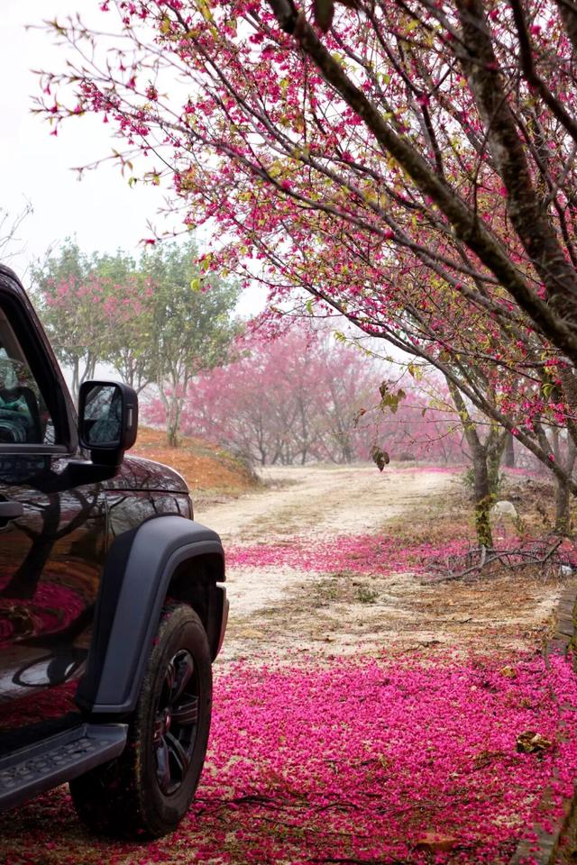 美如仙境！韶关这个地方迎来今年首场冰挂雾凇景观，秋冬来旅行，赏雪泡泉看红枫为你安排好了