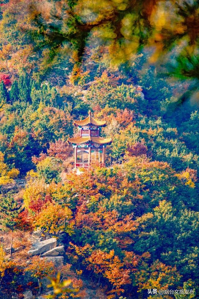 【乐游烟台】正式宣布！下一轮降温前，烟台人该……