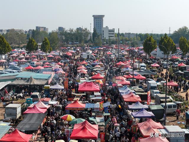 临沭曹洼大集的热闹，烟火气里藏着文旅新密码