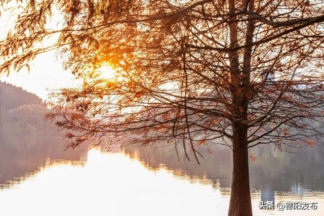 最新实拍！德阳东湖山都美成啥样了啊？太夸张了