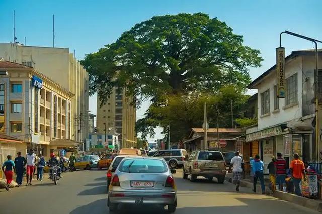 护林员徒手抗砍刀,非法建筑占公园,塞拉利昂生态旅游梦碎了?
