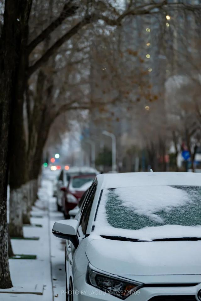 雪景大片！日照这些地方太好看了！