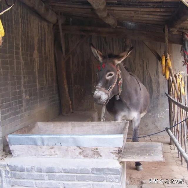 “磕”学来了！你觉得哪些保定景点最具CP感？