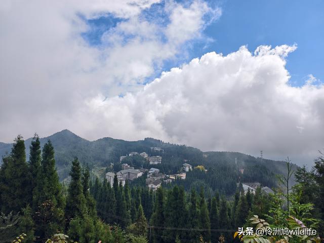 四川行(73)什邡红枫岭徒步到钟鼎寺
