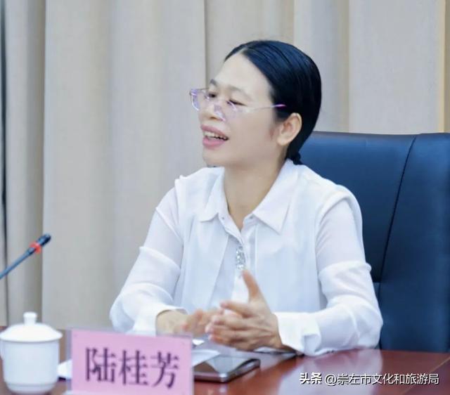 崇左市文化遗产保护技术培训与分享会在宁明召开