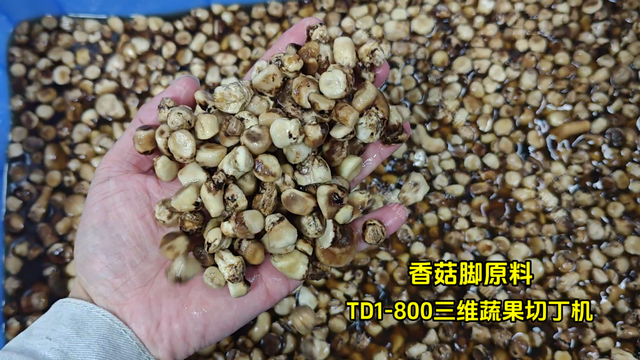 农产品加工，香菇脚怎么切丁？天烨机械TD1-800三维蔬果切丁机